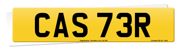 Registration number CAS 73R